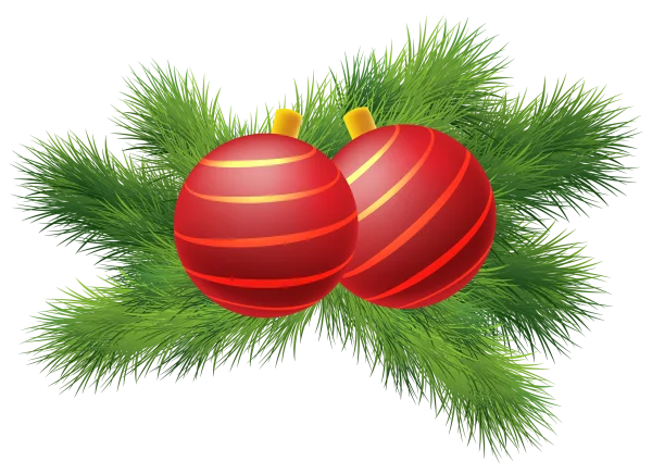 Red Christmas Ornaments on Pine Branch PNG
