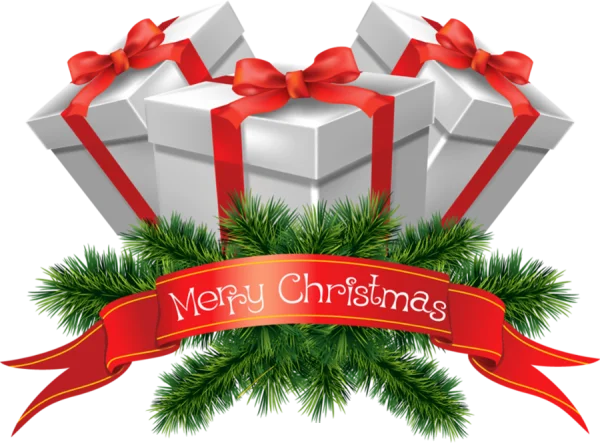 Merry Christmas Gift Boxes with Pine Branches PNG