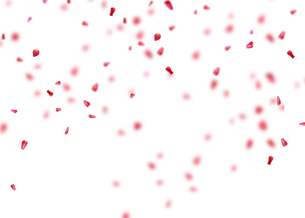 Falling Pink Rose Petals PNG Transparent Background