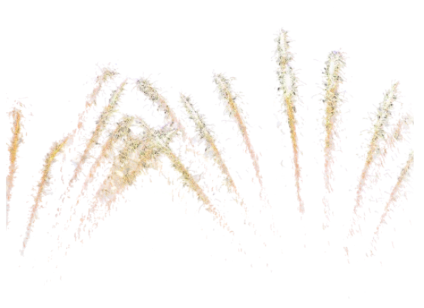 Sparkling Golden Fireworks Trails PNG