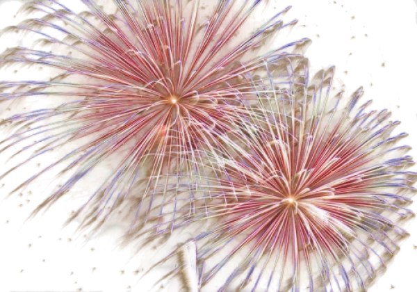 Vibrant Fireworks Explosion PNG Transparent Background