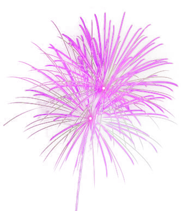 Pink and Purple Firework PNG Transparent Background