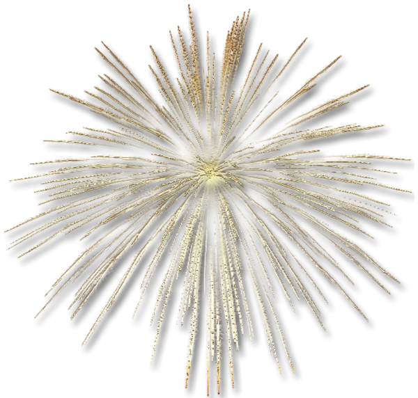 Golden Firework Burst PNG Transparent Background