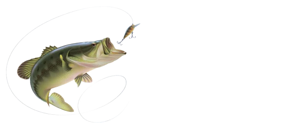 Jumping Bass Fish with Lure PNG Transparent Background