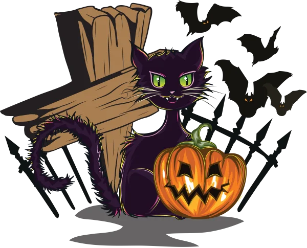 Halloween Black Cat and Jack-o'-Lantern PNG