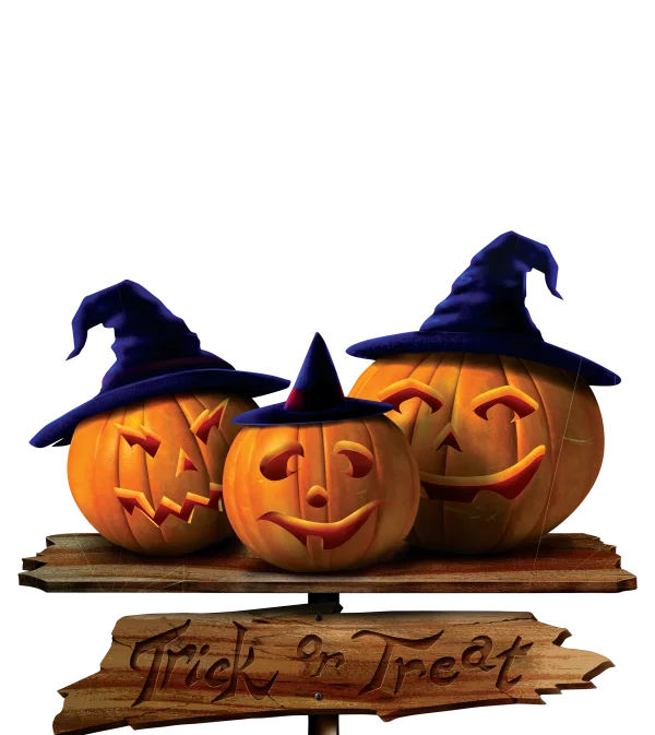 Three Halloween Pumpkins with Witch Hats PNG