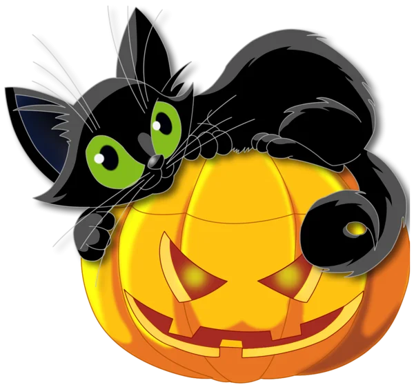 Black Cat on Jack-o'-Lantern PNG Transparent