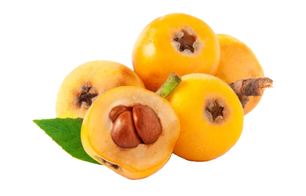 Fresh Loquats with Leaf and Seeds PNG