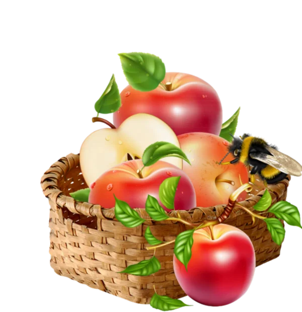 Fresh Apples in Wicker Basket with Bee Transparent Background