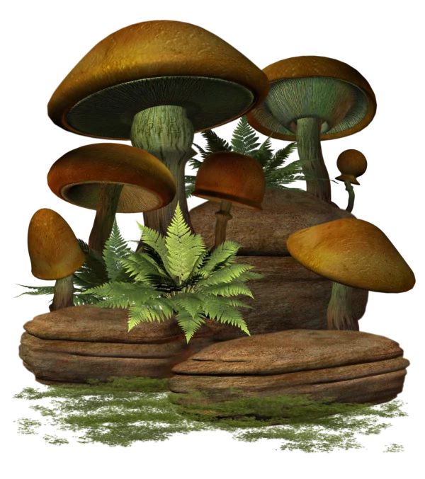 Forest Mushrooms and Ferns PNG Transparent Background
