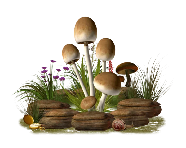 Fantasy Mushroom Scene PNG Transparent Background