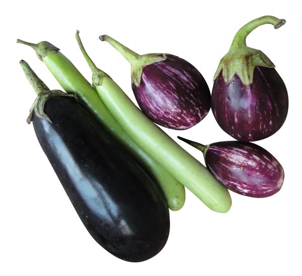 Assorted Eggplants PNG Transparent Background