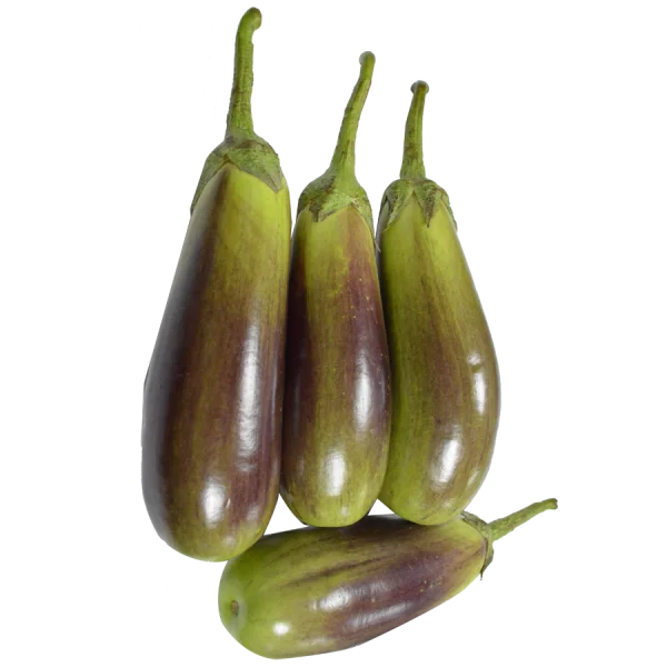 Striped Purple and Green Eggplants PNG Transparent Background