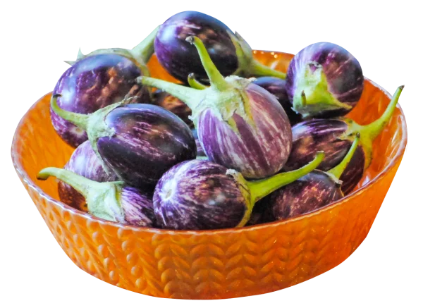 Small Striped Eggplants in Bowl PNG Transparent