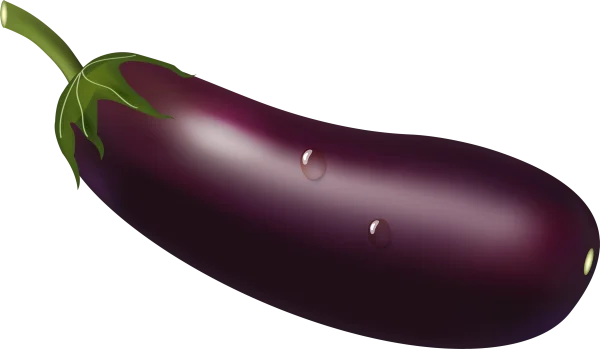Fresh Purple Eggplant PNG Transparent