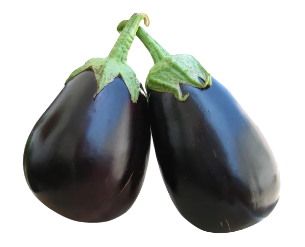Two Fresh Eggplants PNG Transparent Background