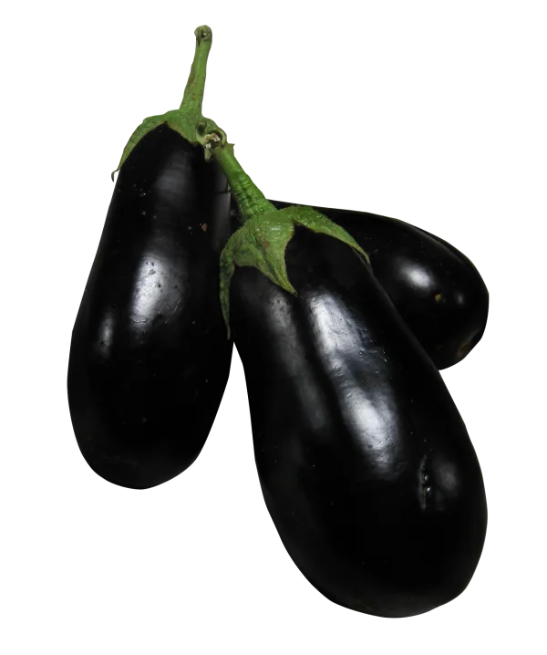 Fresh Dark Purple Eggplants PNG Transparent Background
