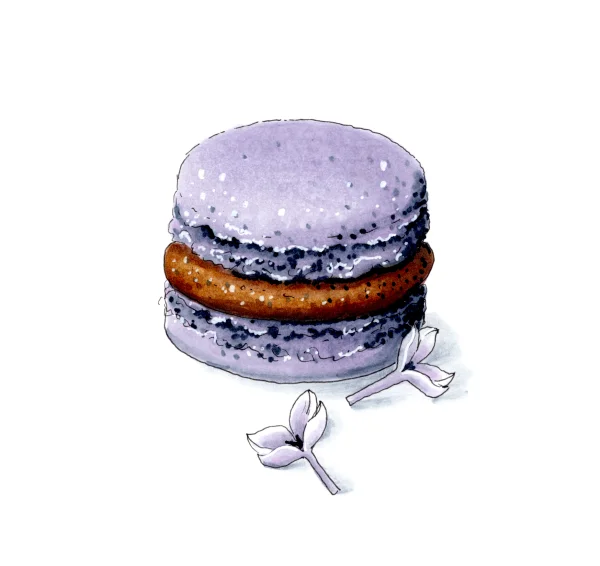 Watercolor Lavender Macaroon PNG Transparent Background