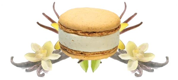 Vanilla Macaron with Flowers and Pods PNG