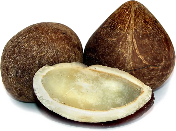 Dried Coconut and Kopra PNG Transparent Background