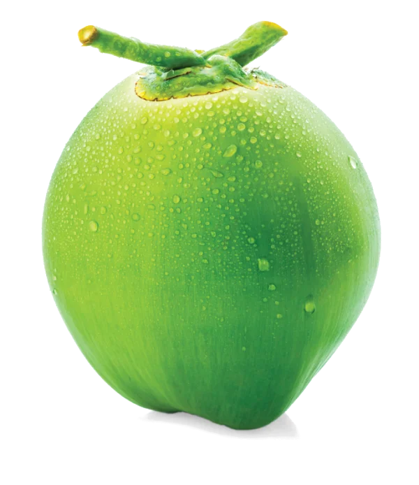 Fresh Green Coconut PNG with Water Droplets