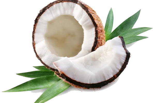 Fresh Coconut Pieces with Green Leaves PNG Transparent Background