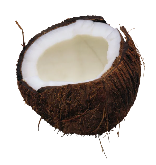 Half Coconut PNG Transparent Background