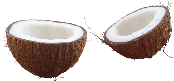 Cracked Coconut Halves PNG Transparent Background