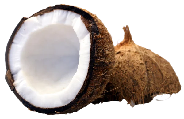Cracked Coconut Half PNG Transparent Background