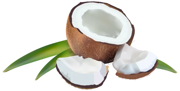 Cracked Coconut Pieces with Leaves PNG Transparent Background