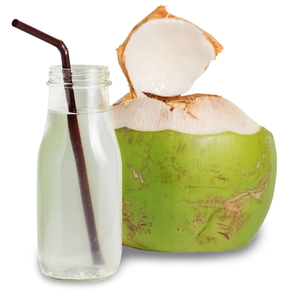 Fresh Coconut Water Bottle and Green Coconut PNG