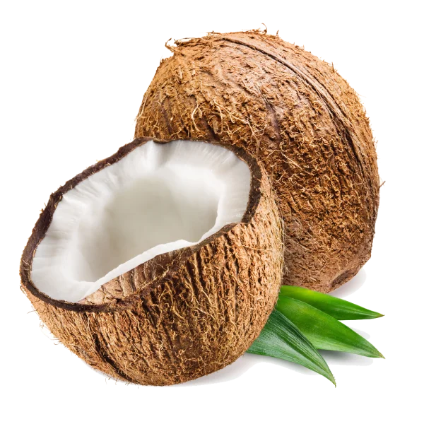 Fresh Coconuts with Leaves PNG Transparent Background