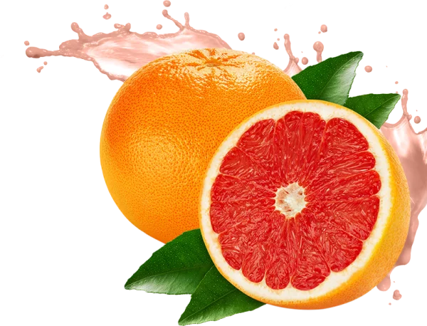 Fresh Grapefruit with Juice Splash PNG