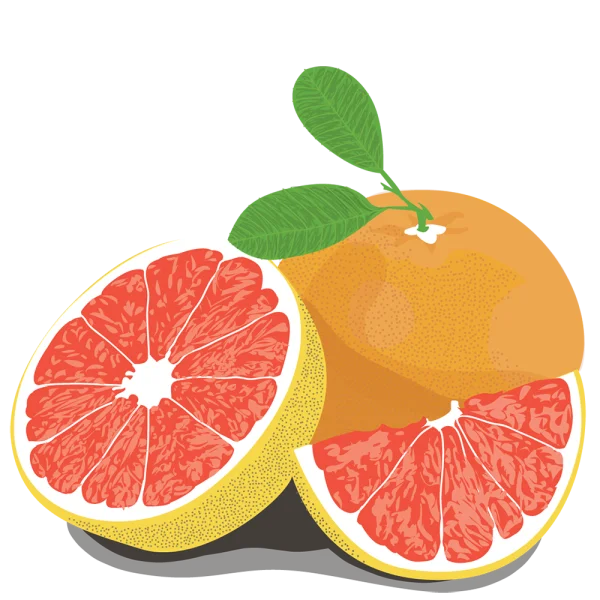 Grapefruit Whole and Slices PNG Transparent Background