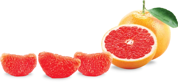 Fresh Pink Grapefruit with Slices PNG Transparent