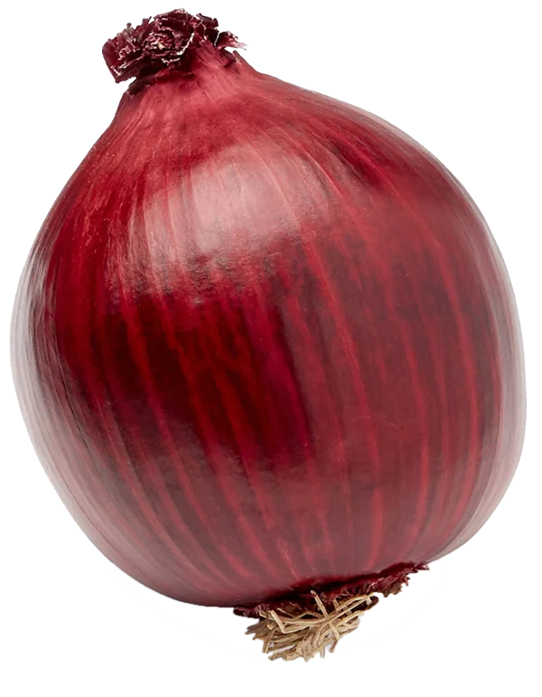 Red Onion PNG Transparent Background