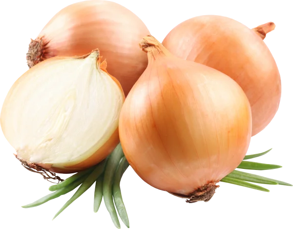 Fresh Yellow Onions PNG Transparent Background