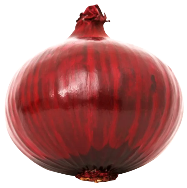 Whole Red Onion PNG Transparent Background