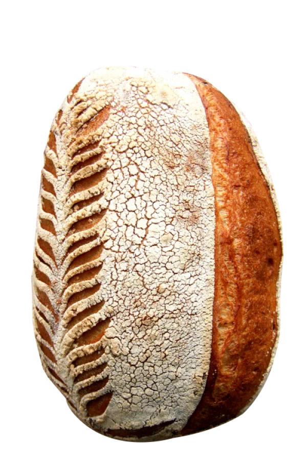 Artisan Sourdough Bread Loaf PNG Transparent