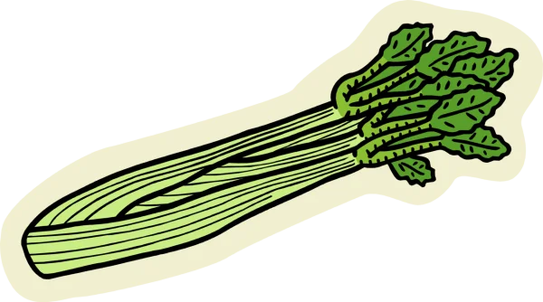 Celery Vegetable PNG Transparent Background