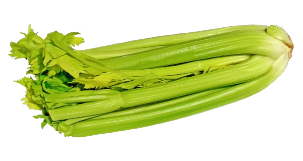 Fresh Green Celery Bunch PNG Transparent Background