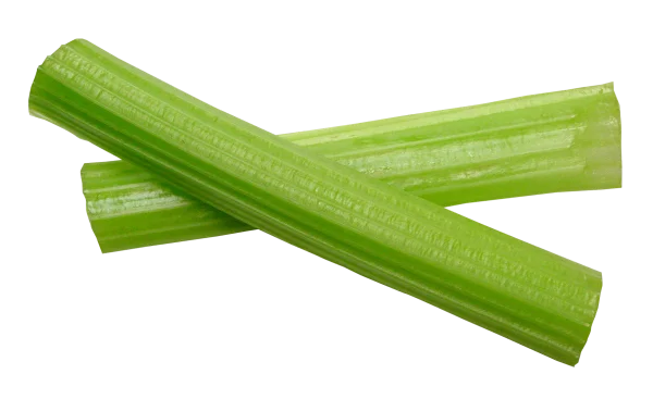 Fresh Celery Stalks PNG Transparent Background