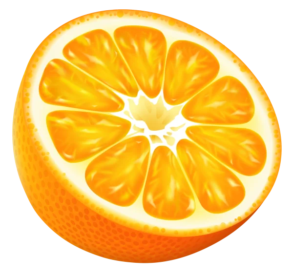 Vibrant Half Orange Slice PNG