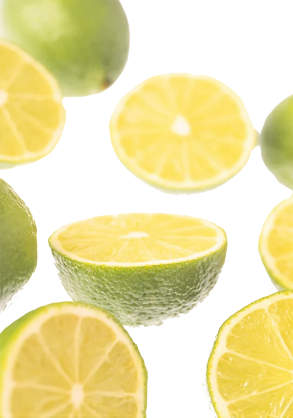 Limes Whole and Sliced PNG Transparent Background