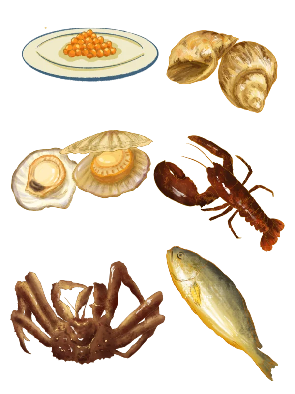 Assorted Seafood Collection PNG Transparent Background