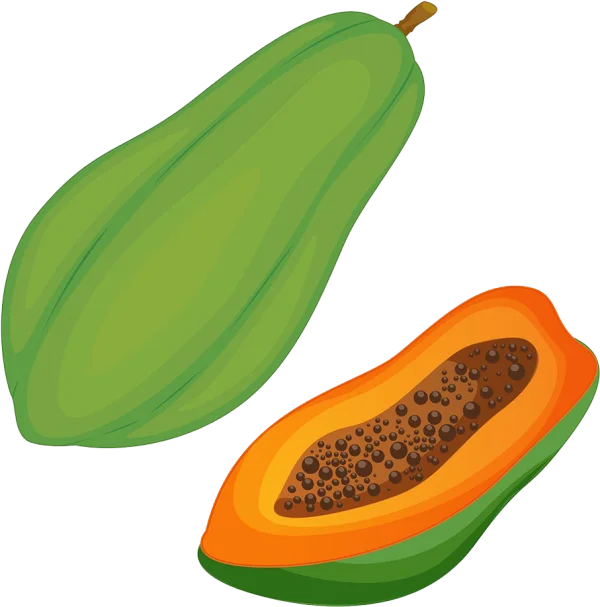 Papaya Fruit Whole and Half PNG Transparent Background