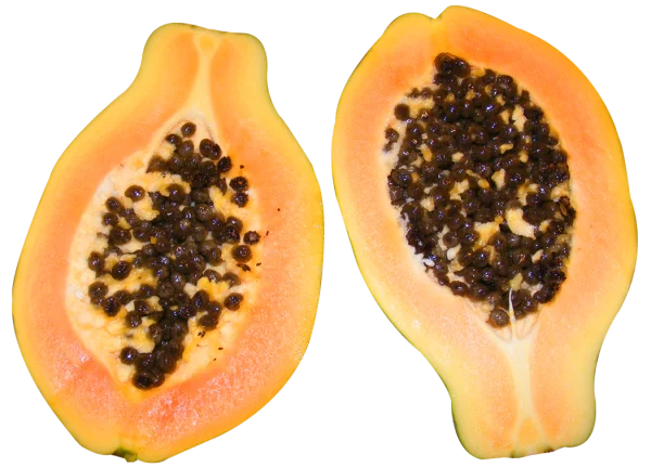 Fresh Papaya Halves PNG Transparent Background