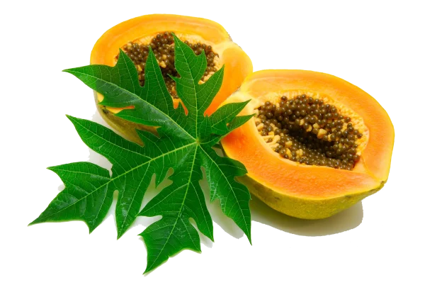 Ripe Papaya Halves with Leaf PNG Transparent Background