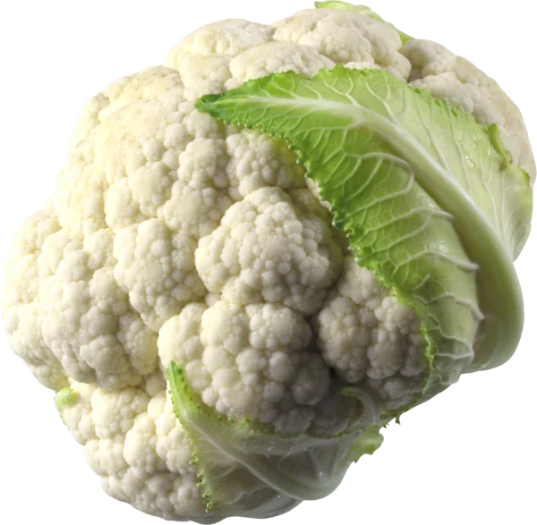 Fresh Cauliflower PNG Transparent Background