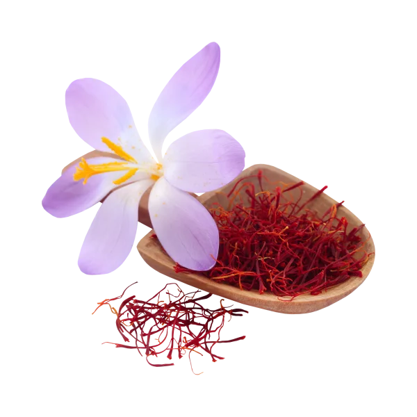 Saffron Threads with Crocus Flower PNG